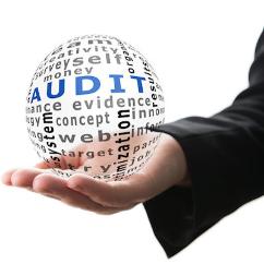 Need and Audit Call MRG